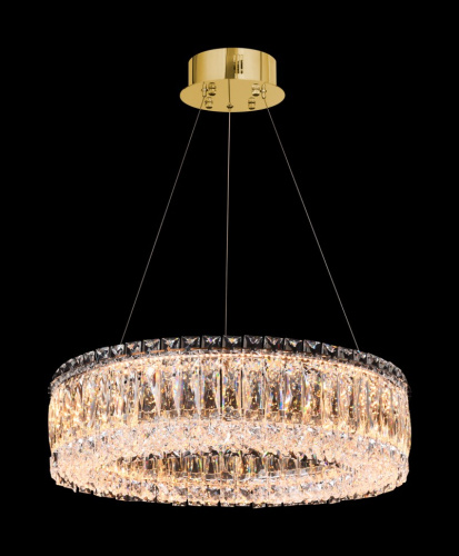 Люстра подвесная Vetto Gold FL1147-5P фото 4