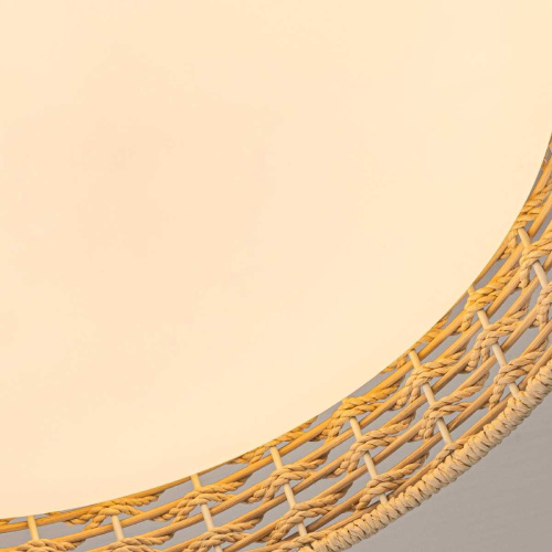 Потолочный светильник F-Promo 4749-4C фото 6