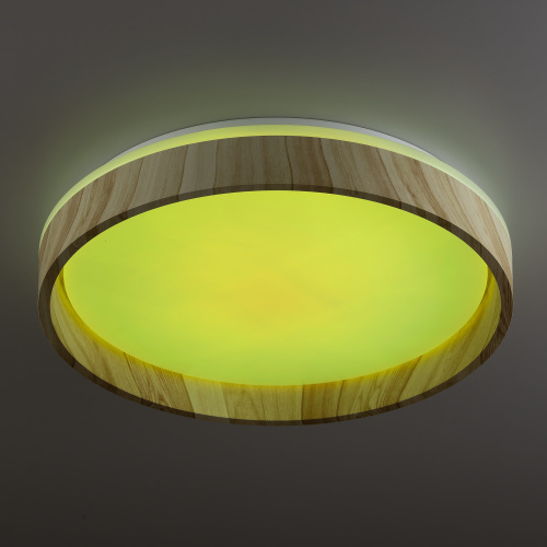 Citilux ENZO CL753352G LED RGB Светильник с пультом Клён фото 6 Citilux ENZO CL753352G LED RGB Светильник с пультом Клён фото 6