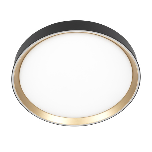 Citilux BOSS CL751351G LED RGB Светильник с пультом Чёрный с Золотом фото 7 Citilux BOSS CL751351G LED RGB Светильник с пультом Чёрный с Золотом фото 7