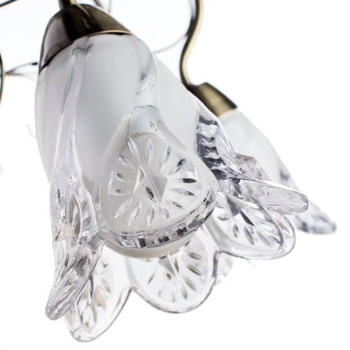 Подвесная люстра Arte Lamp FIORITA A6273LM-8AB фото 3 Подвесная люстра Arte Lamp FIORITA A6273LM-8AB фото 3