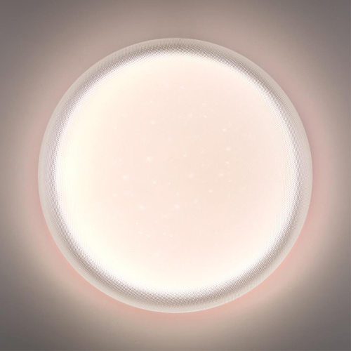 Настенно-потолочный светильник Sonex JOLLY 7775/DLN фото 10