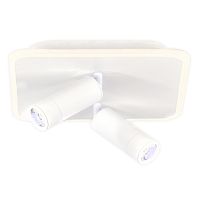 Настенно-потолочный свет Escada 20024SMA/01 LED 31W 4000K белый