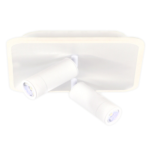 Настенно-потолочный свет Escada 20024SMA/01 LED 31W 4000K белый