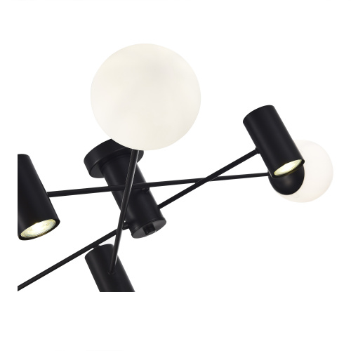 SLE1105-402-06 Светильник потолочный Черный/Белый GU10+E27 3+3*5+60W RAITO фото 3