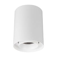 Светильник SP-FOCUS-R110-18W Warm3000 (WH, 24 deg, 230V) Arlight 054839