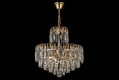 Люстра подвесная Arti Lampadari Elite Erice E 1.5.50.100 G фото 2 Люстра подвесная Arti Lampadari Elite Erice E 1.5.50.100 G фото 2