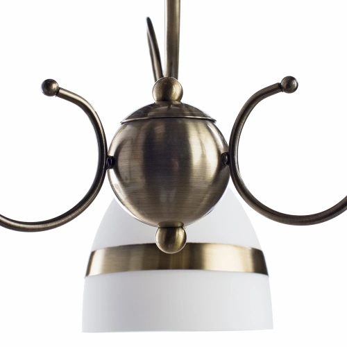 Потолочная люстра Arte Lamp NOEMI A6192PL-3AB фото 3
