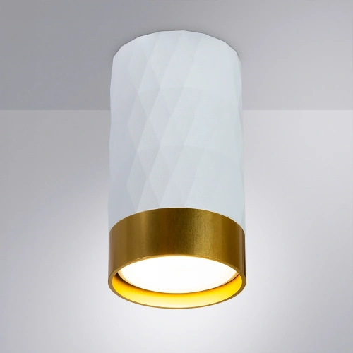 Точечный накладной светильник Arte Lamp FANG A5558PL-1WH фото 2 Точечный накладной светильник Arte Lamp FANG A5558PL-1WH фото 2