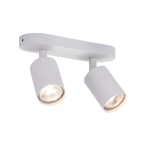 Спот Arte Lamp AQUARIUS A3226PL-2WH фото 2