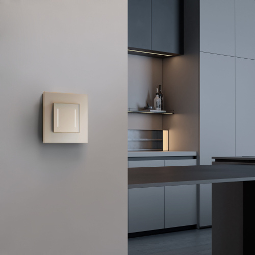 Рамка из стекла на 1 пост Senso шампань soft-touch W0013111 фото 2 Рамка из стекла на 1 пост Senso шампань soft-touch W0013111 фото 2