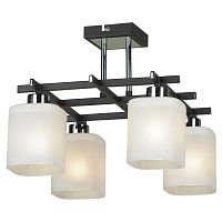 Люстра потолочная Lussole LSL-9007-04