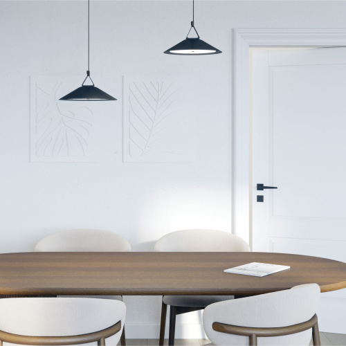 DK5564-BK Cветильник для трека-ремня Belty, серия Flow, со светодиодом, D300*H71мм, 48V DC, 20W, RA90, 120°, 4000K, IP20, черный, алюминий фото 6