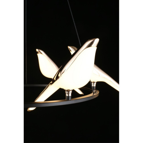 Люстра подвесная APL.822.03.60 фото 4 Люстра подвесная APL.822.03.60 фото 4