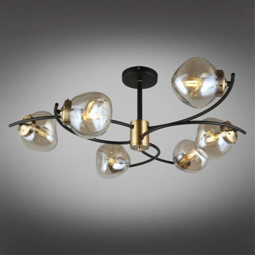 Люстра потолочная OML-95307-06 фото 3 Люстра потолочная OML-95307-06 фото 3