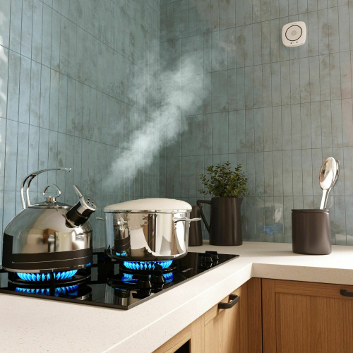 Умный датчик газа 76250/00 фото 2 Умный датчик газа 76250/00 фото 2