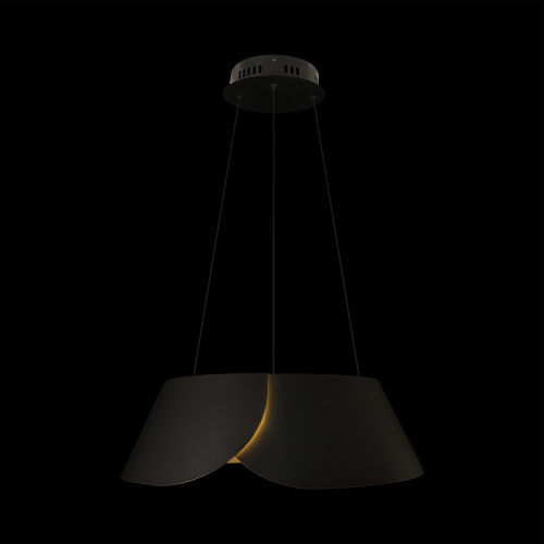 10370P Black Подвесной светильник LOFT IT Lane фото 7