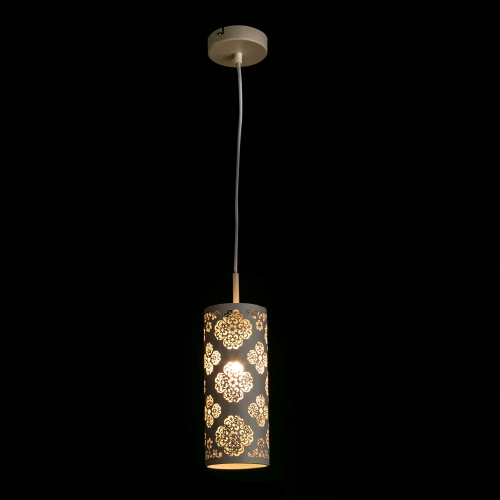 Подвесной светильник Arte Lamp MAESTRO A2031SP-1WA фото 2
