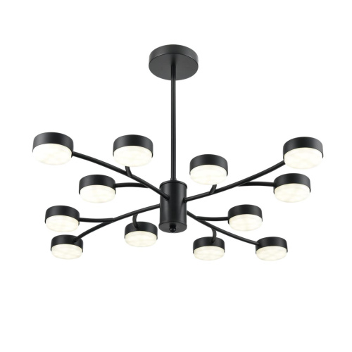 8117/12 COMFI LN26 235 черный, металл Люстра LED GX53 12*7W 220V TORINA фото 6 8117/12 COMFI LN26 235 черный, металл Люстра LED GX53 12*7W 220V TORINA фото 6