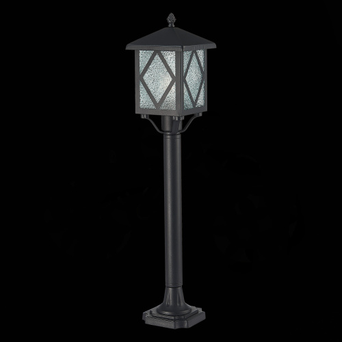 SL084.415.01 Светильник уличный наземный ST-Luce Черный/Черный, Прозрачный E27 1*60W LORNE фото 5