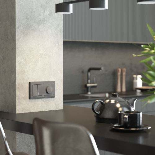 Рамка из поликарбоната на 2 поста Stark графит матовый W0021864 фото 5 Рамка из поликарбоната на 2 поста Stark графит матовый W0021864 фото 5