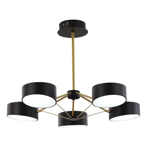 SLE6005-402-05 Светильник потолочный Черный, Золотистый/Черный LED 5*10W VALLE фото 5