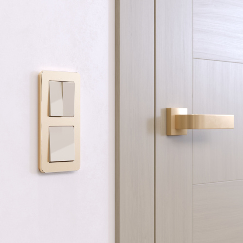 Рамка из металла на 2 поста Platinum шампань W0022611 фото 3