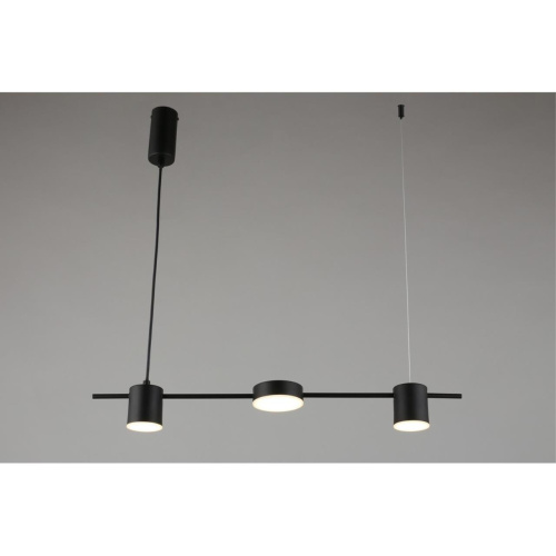 Люстра подвесная APL.017.03.18 фото 2