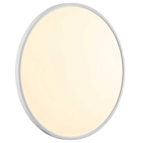 Настенно-потолочный светодиодный светильник Sonex Mitra Alfa White 7659/48L фото 6