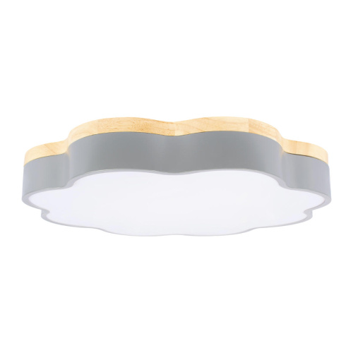 10225/36 Grey Потолочный светильник LOFT IT Axel фото 3