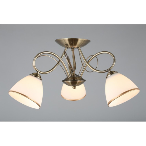 Люстра потолочная OML-25307-03 фото 4 Люстра потолочная OML-25307-03 фото 4