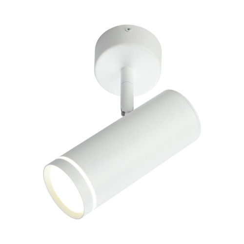 Светильник настенно-потолочный OML-102219-12 Светильник настенно-потолочный OML-102219-12