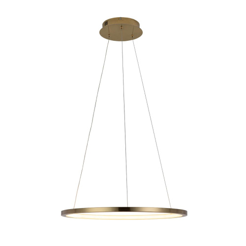 10014M Подвесной светильник LOFT IT Ring фото 2