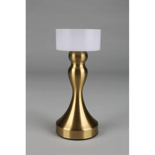 Настольная лампа OML-40304-01 фото 4