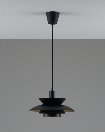 Светильник подвесной Moderli V11303-1P Shaggy фото 5