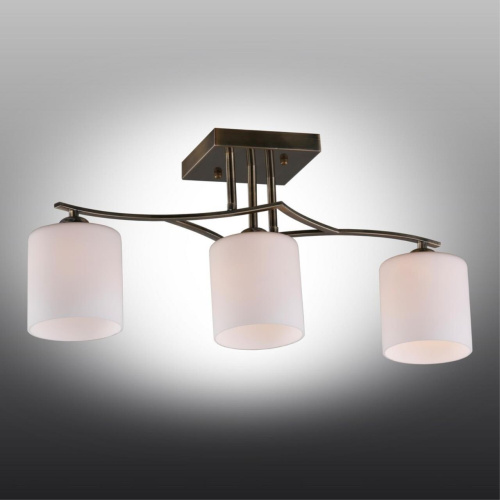 Люстра потолочная OML-55317-03 фото 3