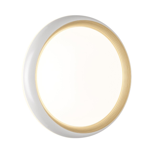 7650/DL PALE SN 141 Светильник пластик/белый/золотой LED 48Вт 4000К D380 IP43 TOFIQ WHITE фото 4 7650/DL PALE SN 141 Светильник пластик/белый/золотой LED 48Вт 4000К D380 IP43 TOFIQ WHITE фото 4