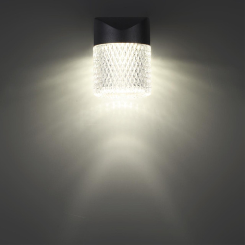 359293 STREET NT24 722 черный Светильник ландшафтный настенный IP65 LED 7W 4000K 175-265V ESTIMA фото 4