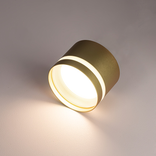 Citilux Hardy CL002C12 Светильник накладной Золото фото 5 Citilux Hardy CL002C12 Светильник накладной Золото фото 5