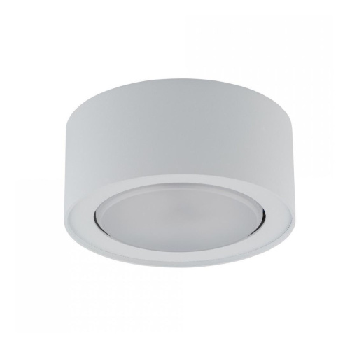 Потолочный светильник Nowodvorski Flea 8202 Потолочный светильник Nowodvorski Flea 8202