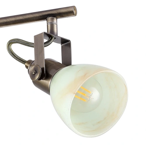 Спот Arte Lamp TULIP A9582PL-4AB фото 2