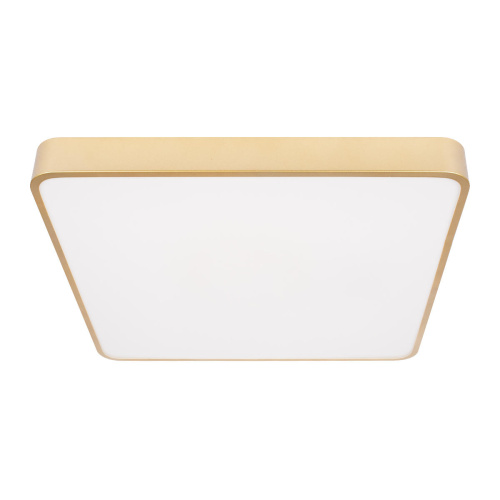 10228/D Потолочный светильник LOFT IT Flims фото 5 10228/D Потолочный светильник LOFT IT Flims фото 5