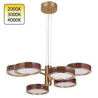 5450/99LB L-VISION ODL_EX26 019 коричневый/античная бронза/металл/керамика/акрил Люстра LED 99W 2000К/3000K/4000K RIVIERA