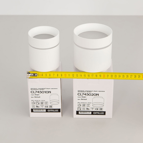 Citilux Борн CL745010N LED Светильник накладной Белый фото 10