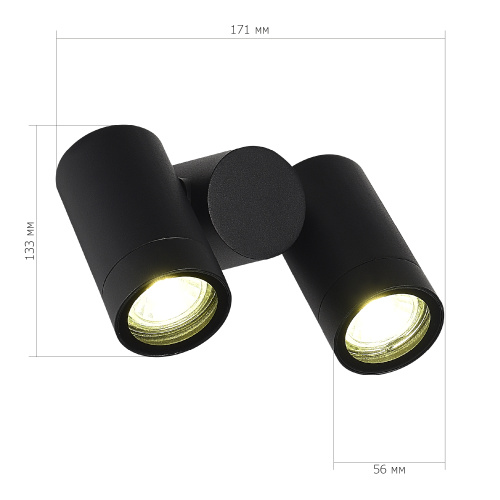 SL9011.402.02 Светильник уличный потолочный ST-Luce черный/белый GU10 2*50W ECOLLO фото 2