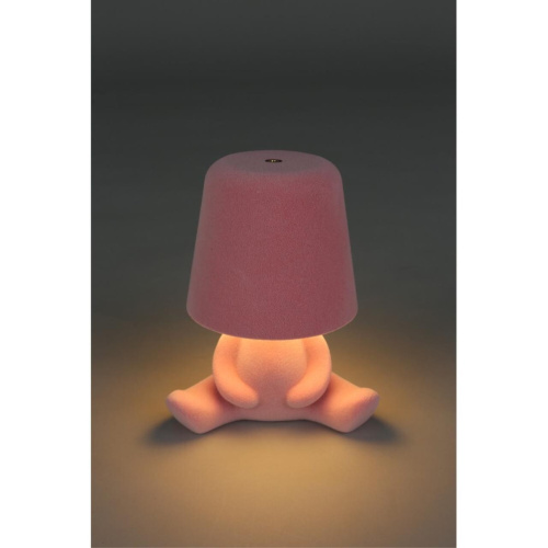 Настольная лампа APL.677.14.01 фото 11