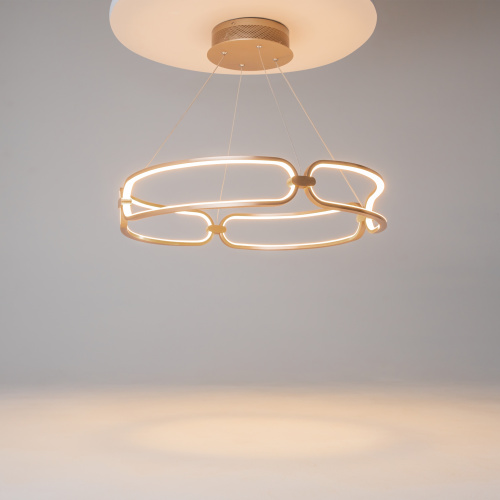 Подвесной светильник Maytoni MOD017PL-L50MG фото 8