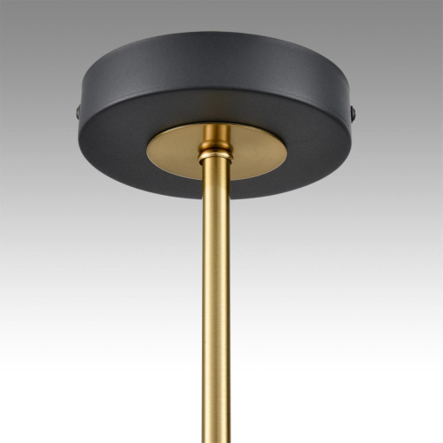 8240/6C COMFI LN26 239 черный/латунь, металл/акрил Люстра потолочная LED GX53 6*7W 220V LANIKA фото 10 8240/6C COMFI LN26 239 черный/латунь, металл/акрил Люстра потолочная LED GX53 6*7W 220V LANIKA фото 10