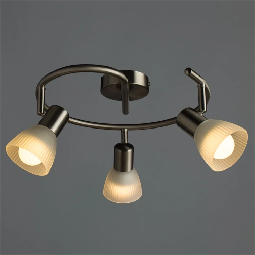 Спот Arte Lamp PARRY A5062PL-3SS фото 2
