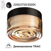 7158/6CL HIGHTECH ODL26 493 Настенно-потолочный светильник черный/янтарный/стекло/поликарбонат IP65 LED 6W 410Лм 2200/2700/3000K 120° 220-240V RONDA